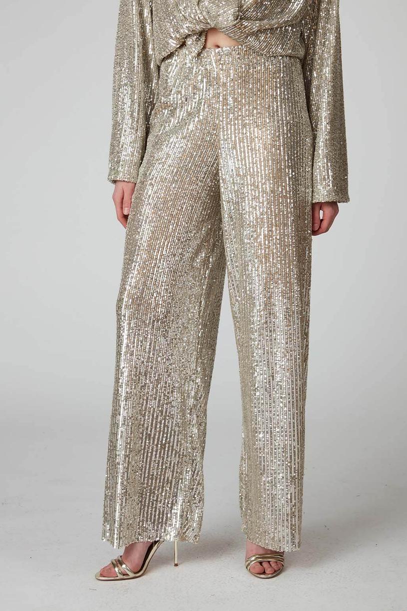 Silver Sequined Pants
