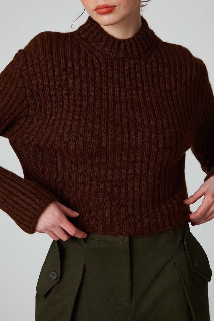 Brown Half High Neck Mini Sweater