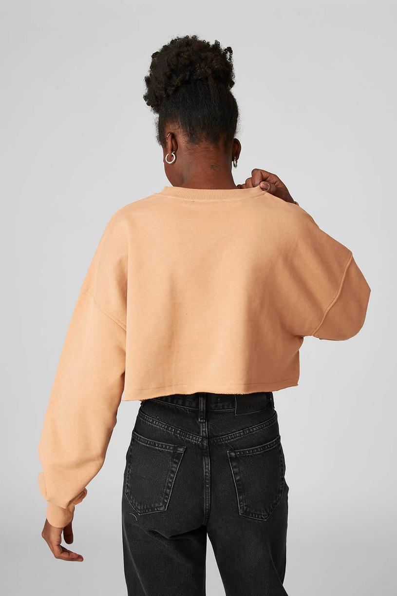 Nude Basic Crop Sweatshirt